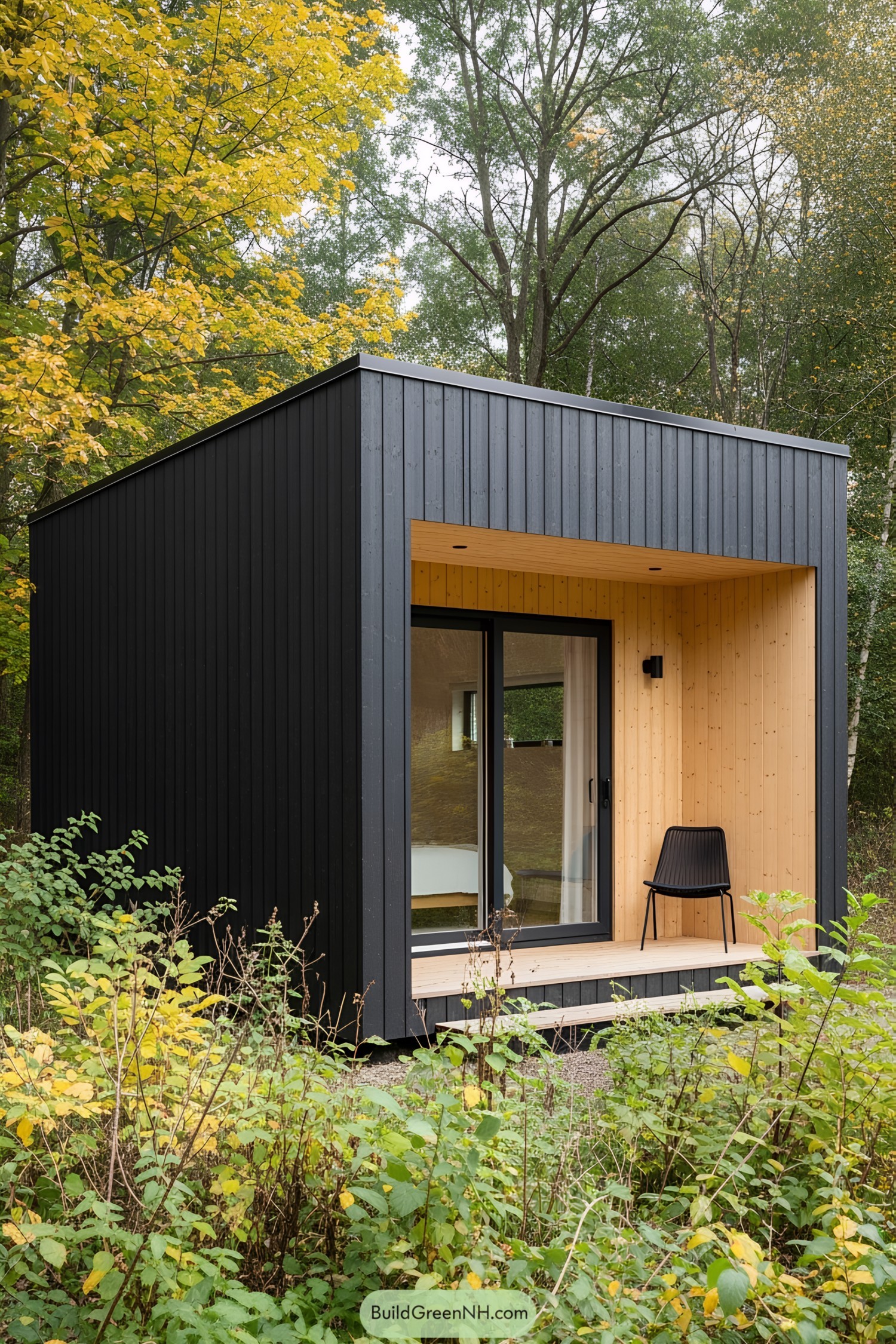 Compact modern cabin in the woods with a black and wood finish