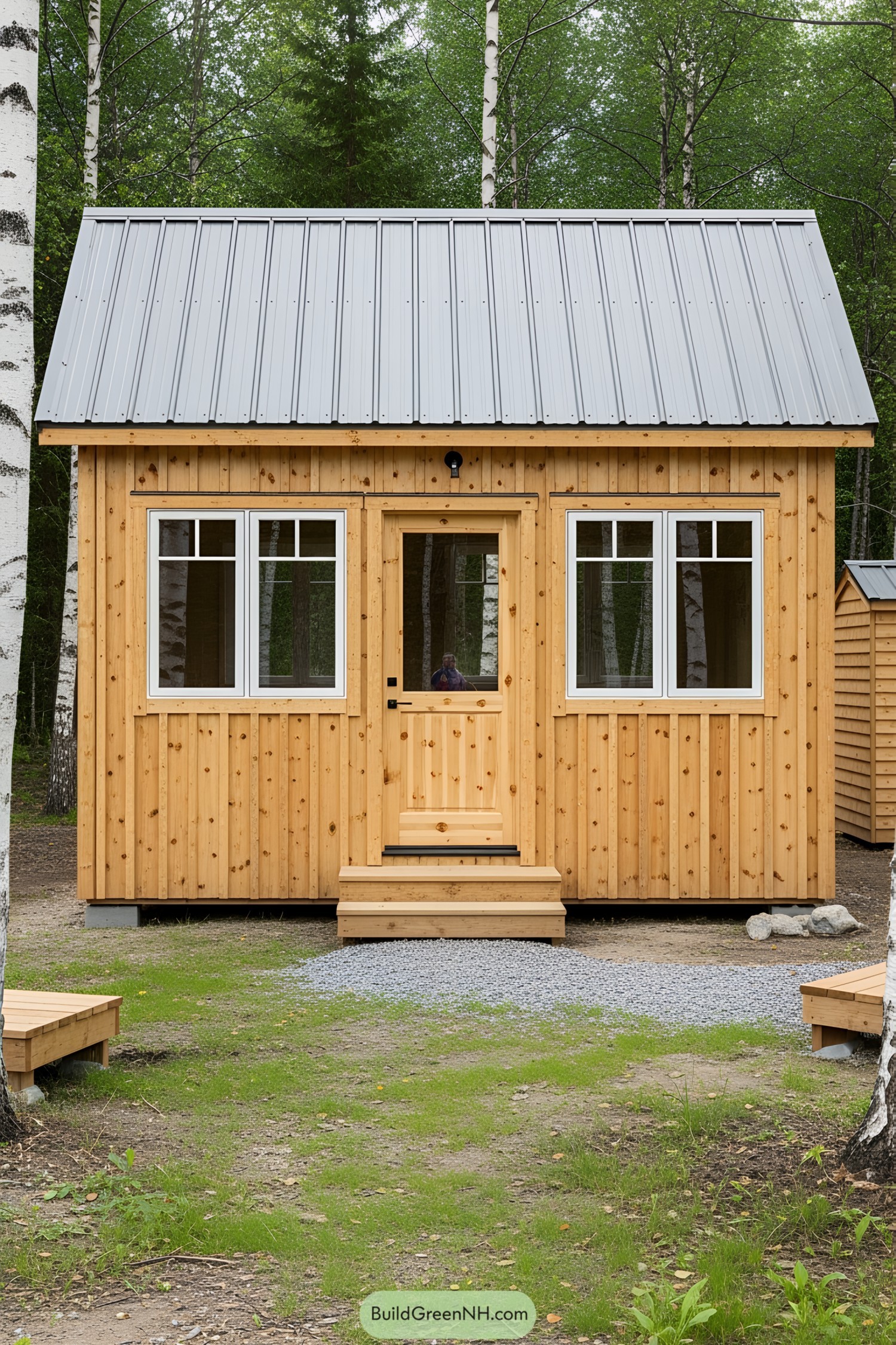 A small wooden shed with a metal roof, nestled among birch trees