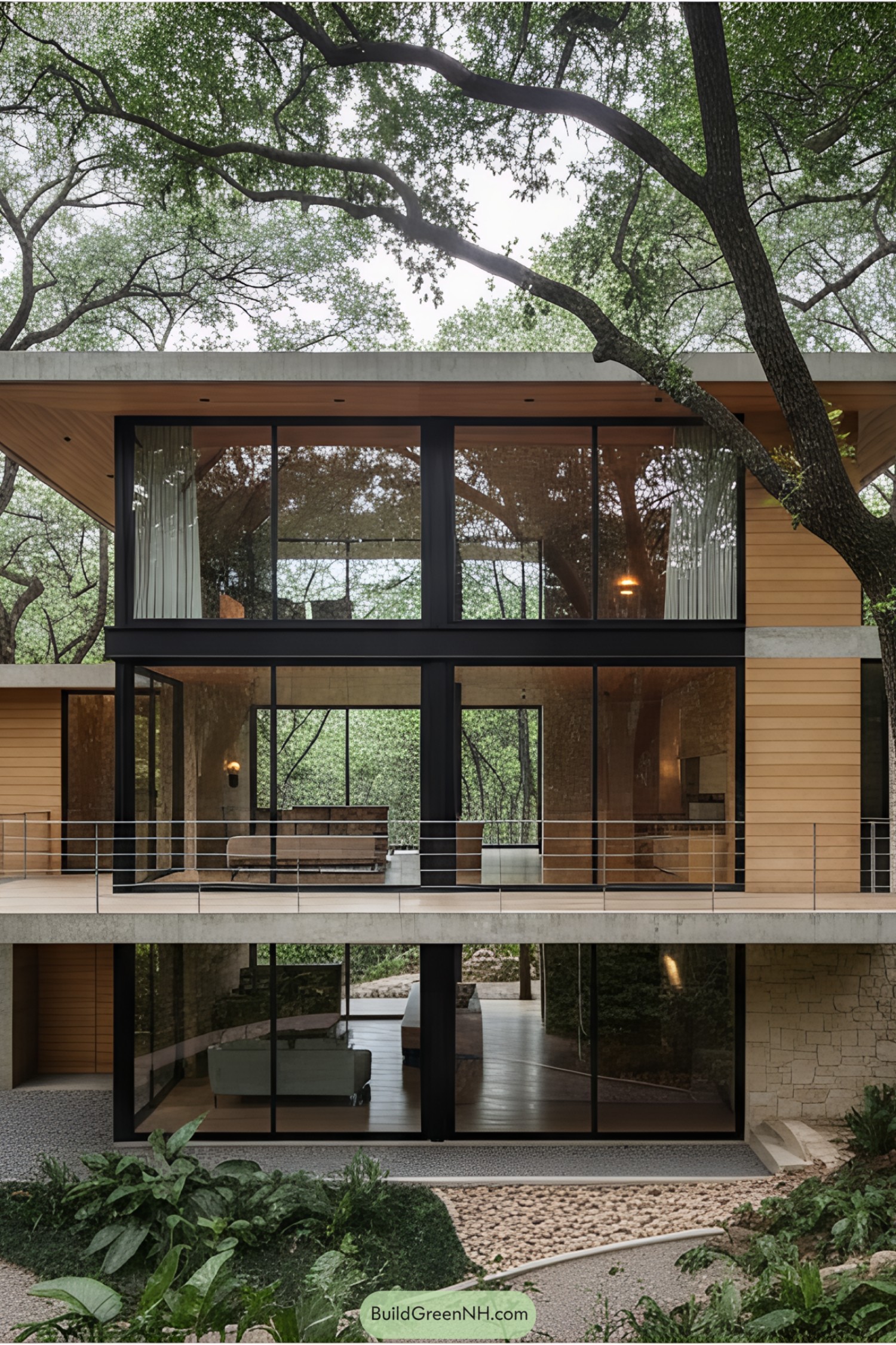 Modern house with large glass windows surrounded by tall trees