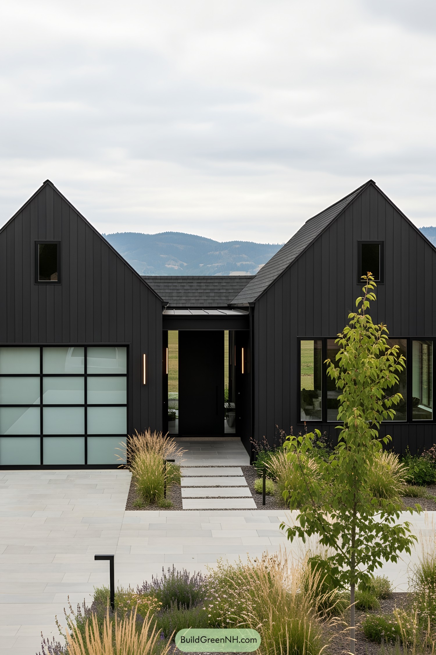 Sleek dark modern cottage with mountain backdrop