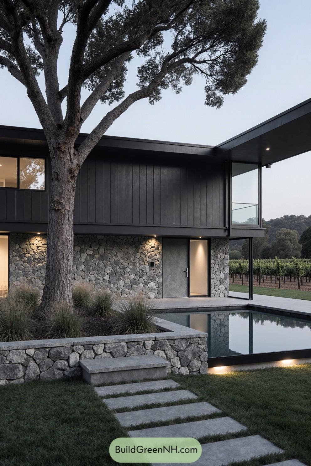 Modern house with a courtyard tree and pool