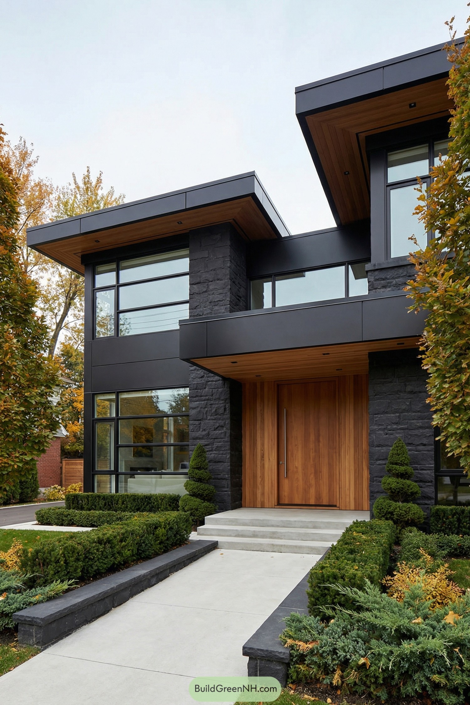 Modern black mansion with wood accents