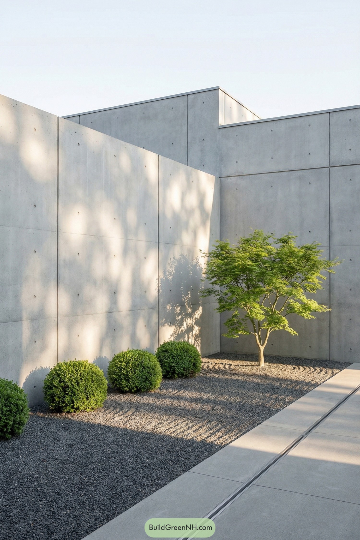 Minimal concrete courtyard with gravel, box shrubs, and a small maple tree