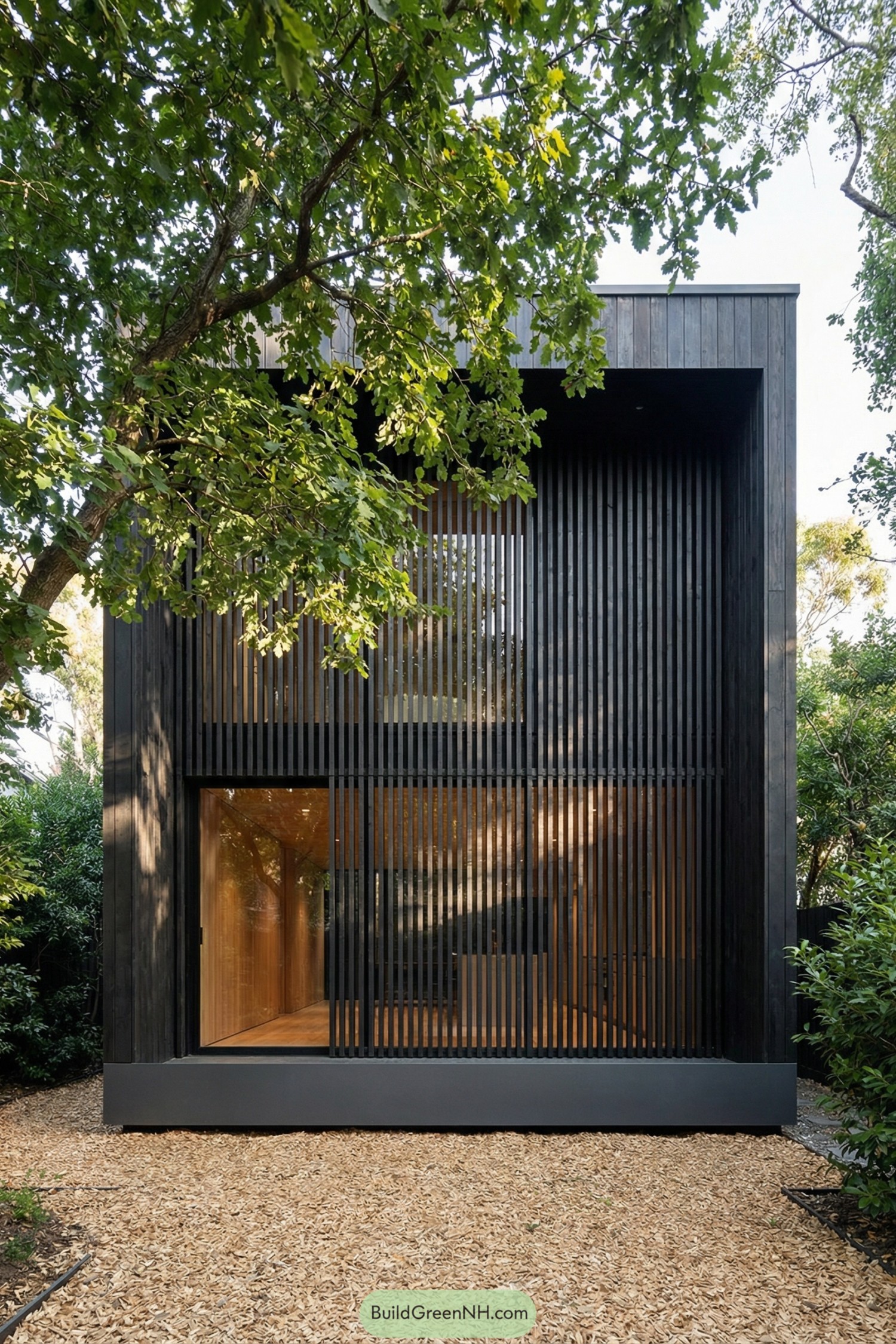 Dark timber box house with vertical slats facing a leafy garden