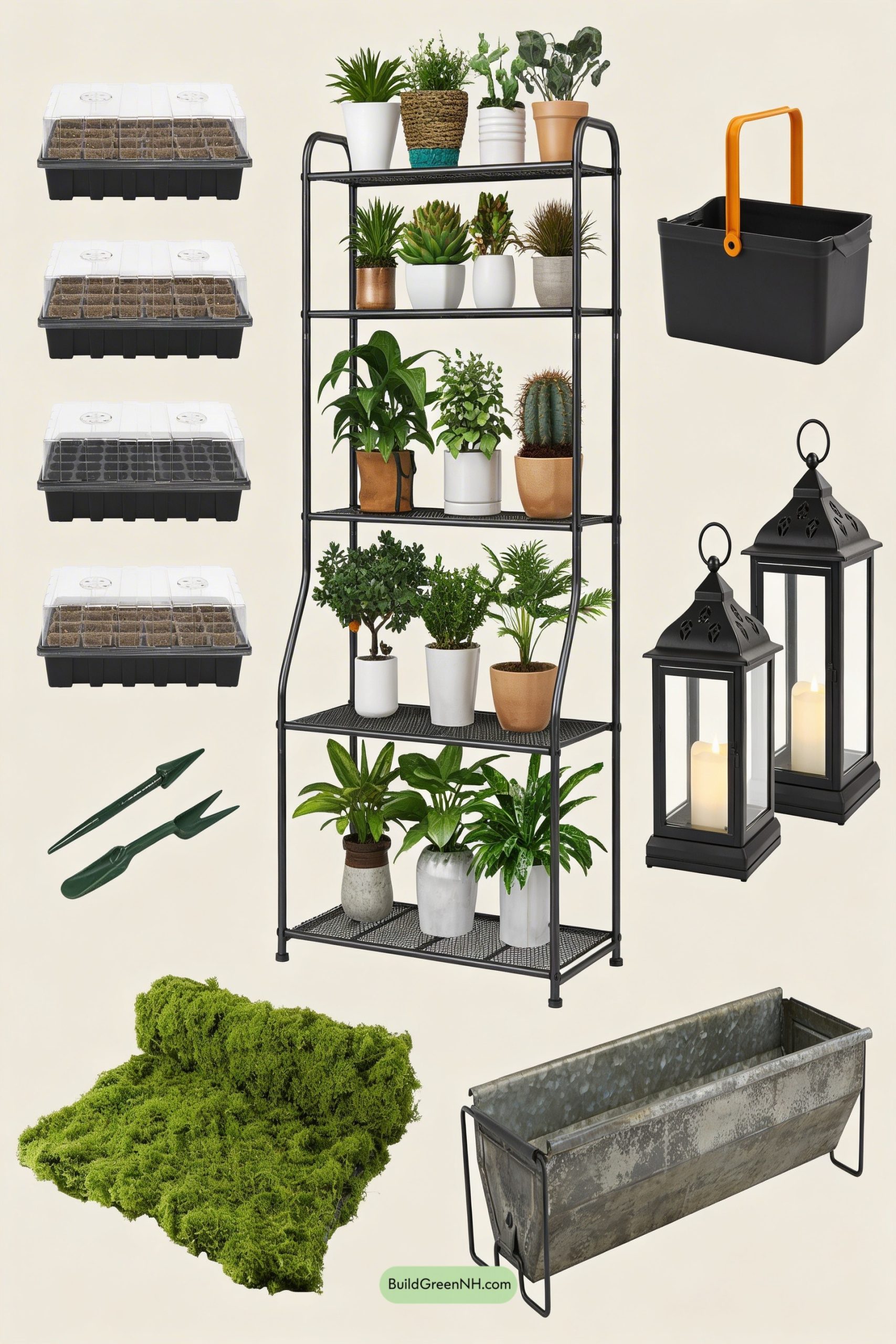Moodboard for Porch Turned Mini Greenhouse Lab