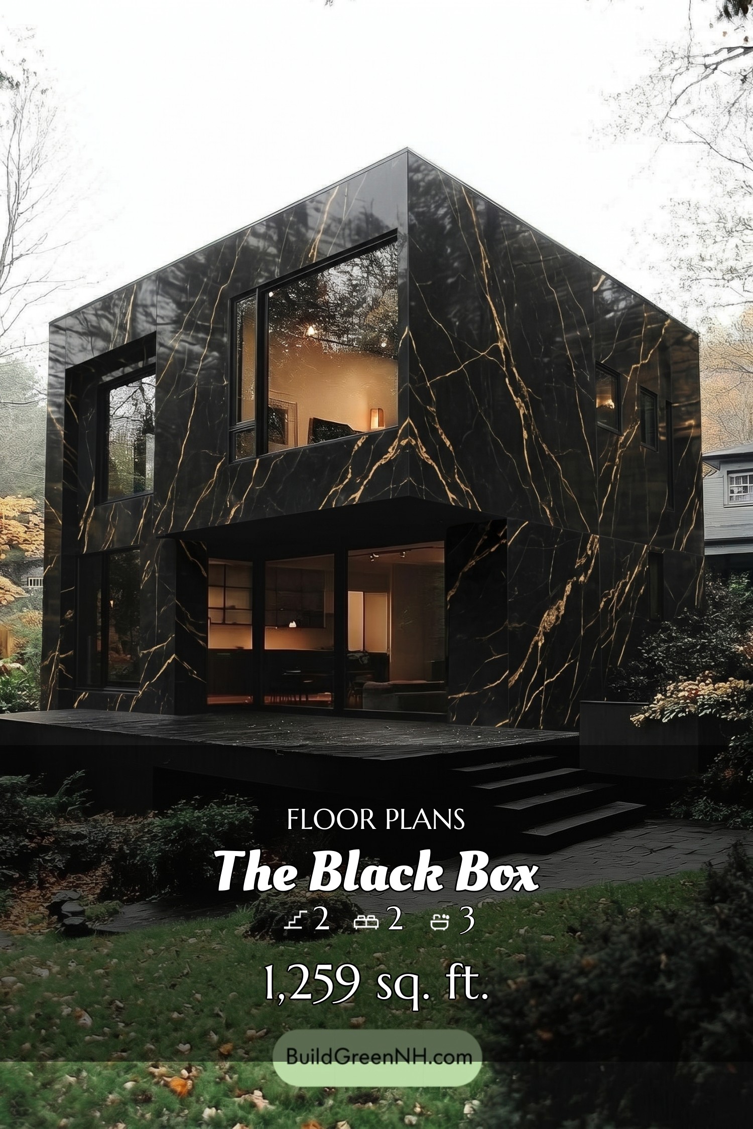 house siding black marble with gold veins