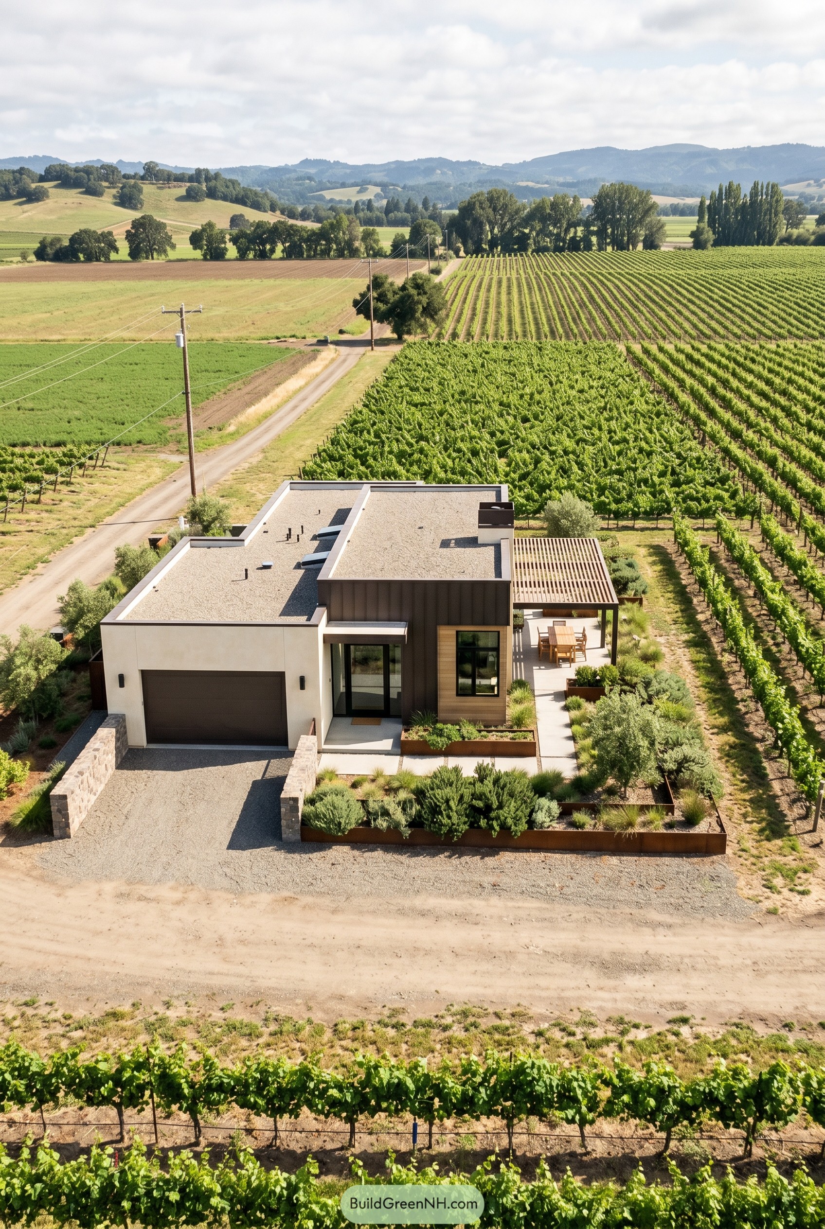 Single story modern home beside vineyard rows
