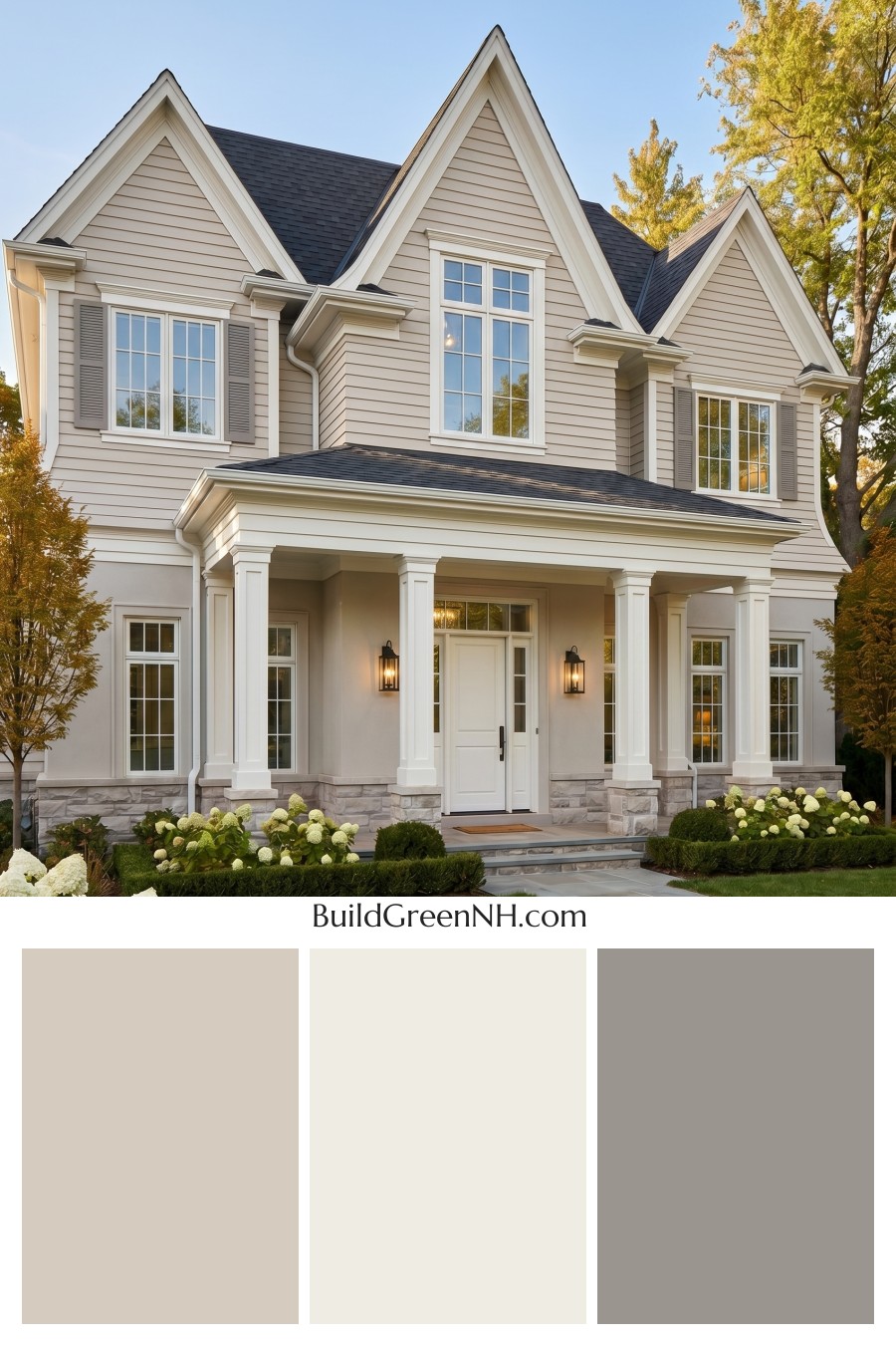 Light Grey Exterior Color Scheme: Family Light Grey Exterior