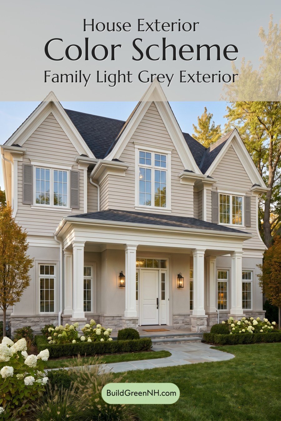 Light Grey Exterior Color Scheme: Family Light Grey Exterior