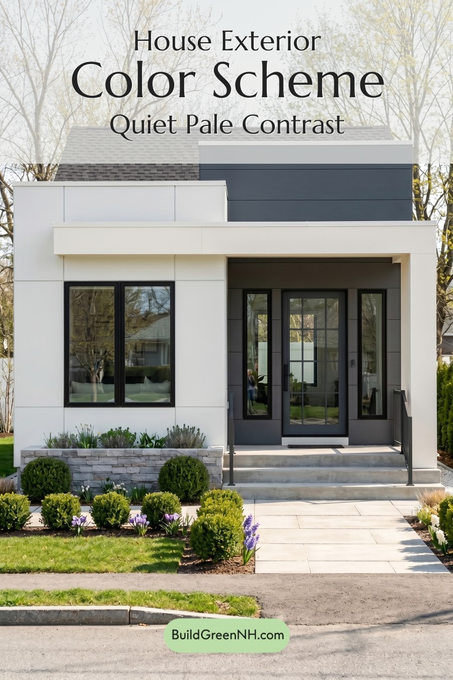 Small Modern Light Grey Exterior Color Scheme: Quiet Pale Contrast