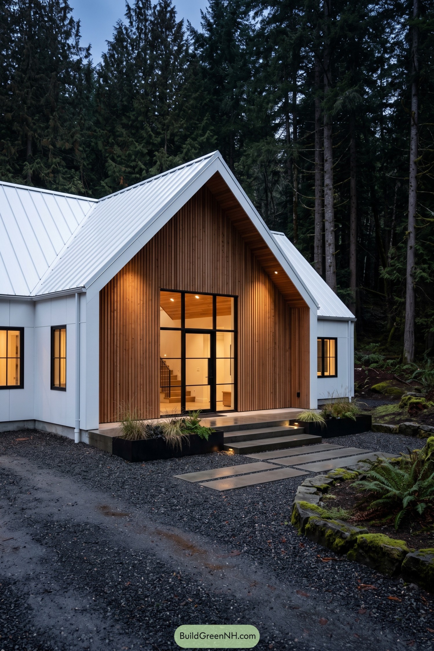 Modern white and timber house beneath tall evergreens